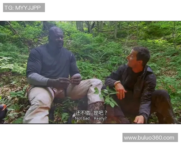 奥尼尔综艺节目真人秀带你领略明星生活的真实与乐趣