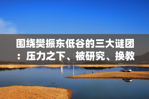 围绕樊振东低谷的三大谜团：压力之下、被研究、换教练 您同意哪一种？