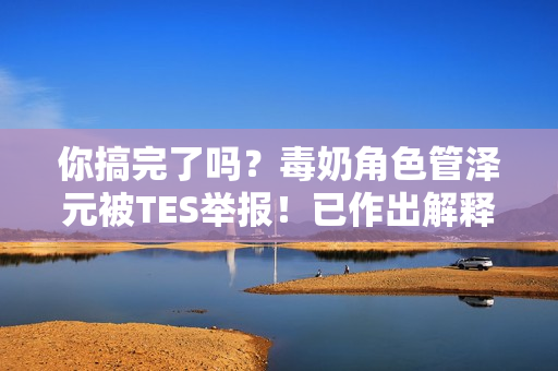 你搞完了吗？毒奶角色管泽元被TES举报！已作出解释并致歉