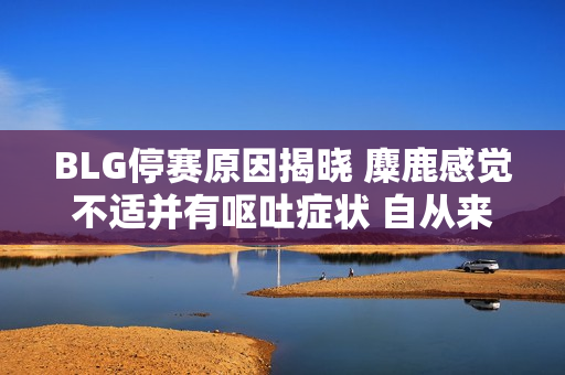 BLG停赛原因揭晓 麋鹿感觉不适并有呕吐症状 自从来到成都以来 他一直感冒