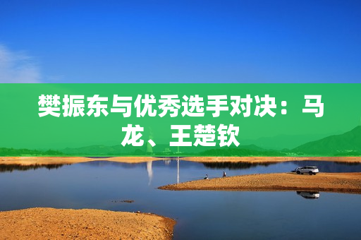 樊振东与优秀选手对决：马龙、王楚钦