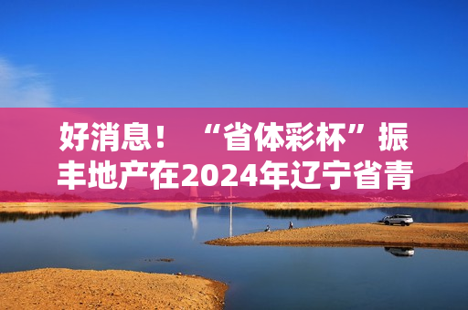 好消息！ “省体彩杯”振丰地产在2024年辽宁省青少年射箭（室内）锦标赛中取得好成绩