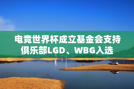 电竞世界杯成立基金会支持俱乐部LGD、WBG入选