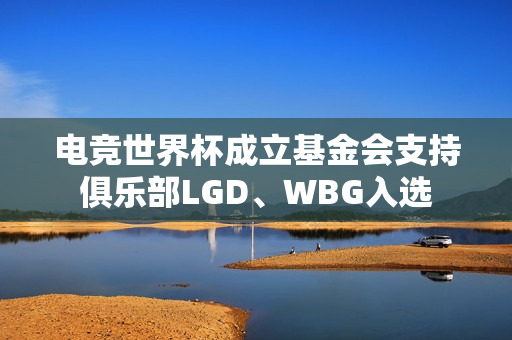 电竞世界杯成立基金会支持俱乐部LGD、WBG入选