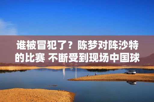 谁被冒犯了？陈梦对阵沙特的比赛 不断受到现场中国球迷的瞄准 刘国梁确实应该好好照顾一下