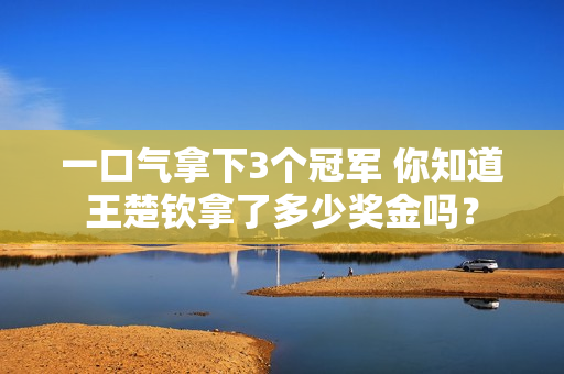 一口气拿下3个冠军 你知道王楚钦拿了多少奖金吗？